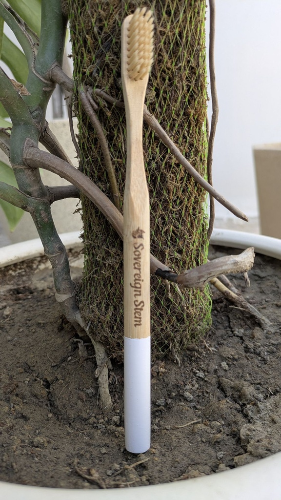 Phoenix Bamboo ToothBrush