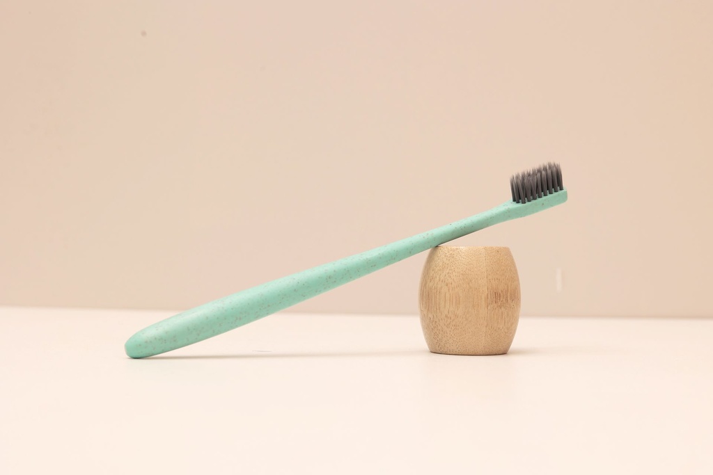 Wheat Straw Brush with brush holder
